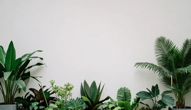 传播方案：活动流程对文案创作性能的影响分析